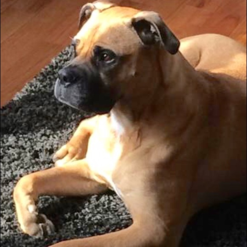 Meet your Posher, Sylvia